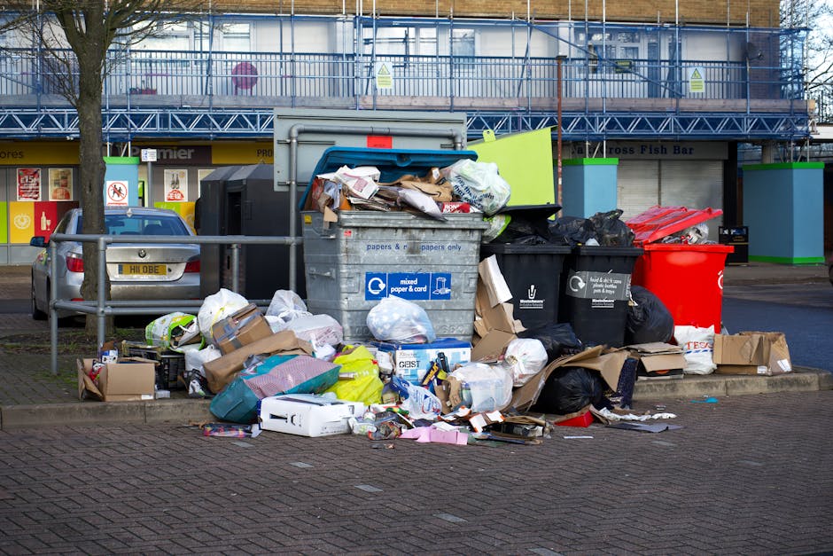 https://houseclearanceislington.co.uk/blog/skip-alternative-rubbish-removal-for-highbury-fields-homes/